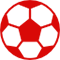 Outdoor / Indoor Soccer