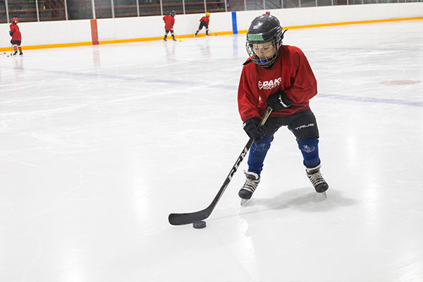 Hockey Programs