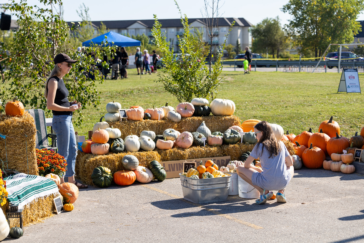 Dakota Community Family Fun Days